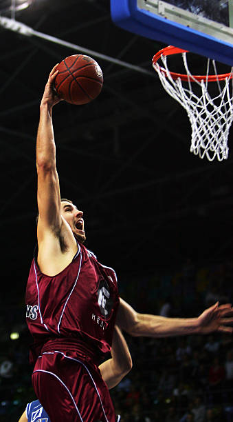 动提供了坚 动提供了坚